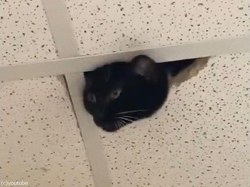 �ƻ륫�����Ȼפä���ǭ���ä�02