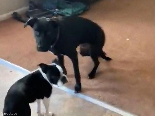 ­�����餫����04