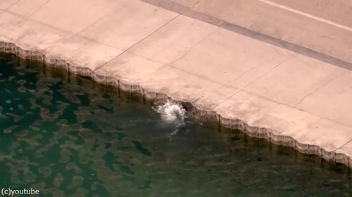 �ٴ�������߽�02