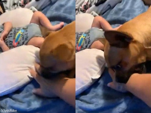 �֤������븤01