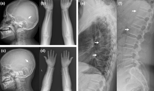 �����������ξ��֤οͤ�����01