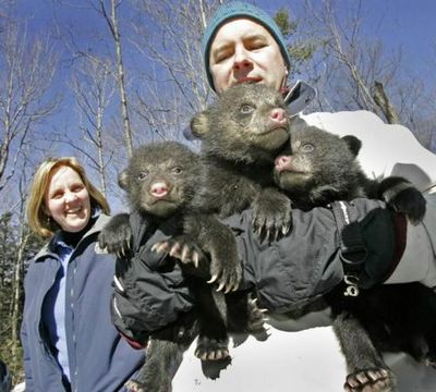 子グマが罠にかかってた05