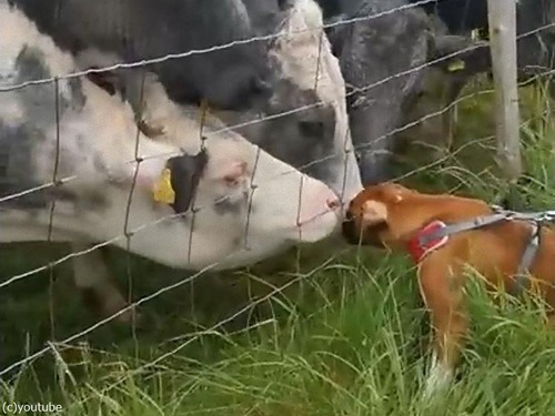 �����繥���ʵ�����01