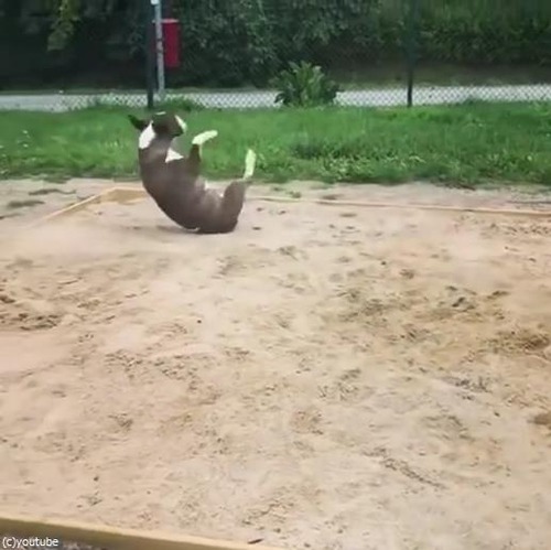 �֥�ƥꥢ��������綽ʳ03