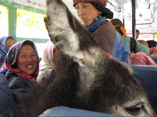 こんなバスは困る11