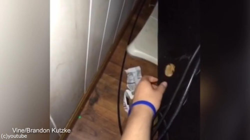 猫の手を借りる方法08