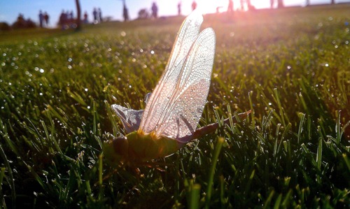 携帯カメラ撮影09