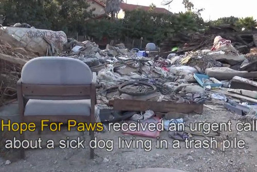 ���ߤλ�����餹�ۡ���쥹����߽�01