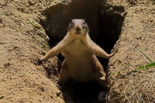 12�ͤɤ������餤���Ρ�