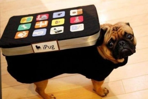 iPug