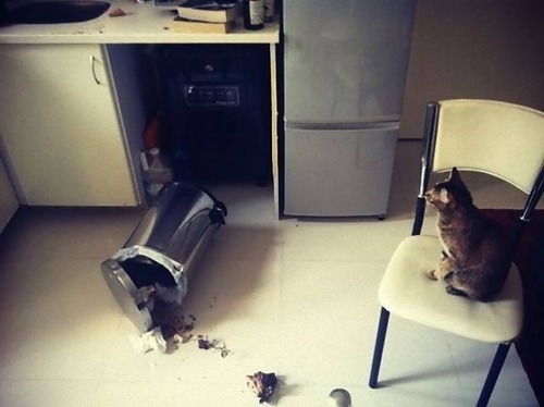 ǭ�����̤����͡�06