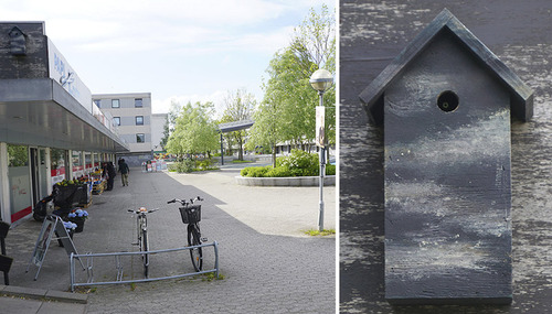 ����ե顼����Ļ����Ȣ11