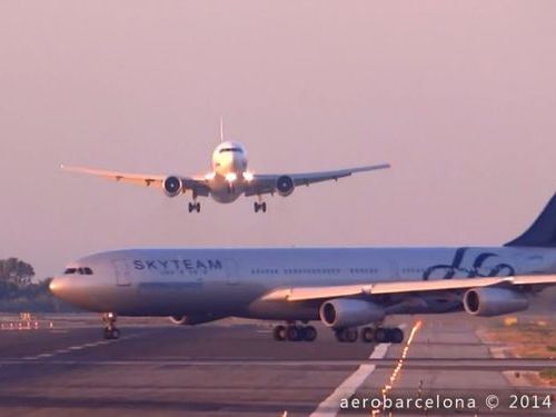 �Х륻���ʶ����Υ˥��ߥ�01