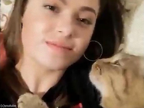 猫 もっとキスして 強引に美女の唇を求める 動画 マピオンニュース