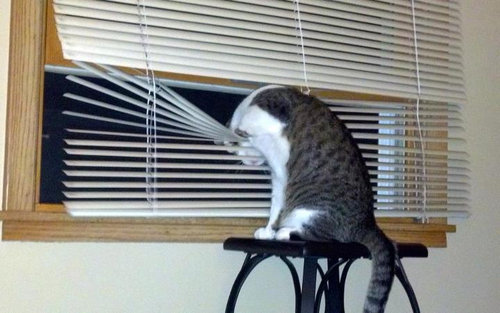 ������ǭ���뤫�鳰�򸫤�Τ�����05