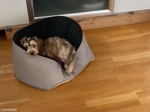 �����٥åɤ�դ��ˤ����04