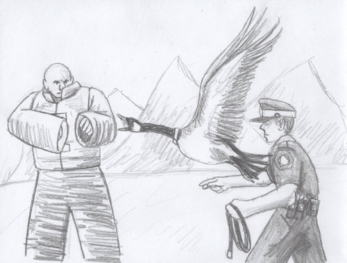 ���ʥ��ηٻ��ϸ���Ȥ�ʤ�02