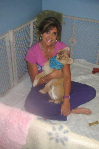 子犬を拾った18