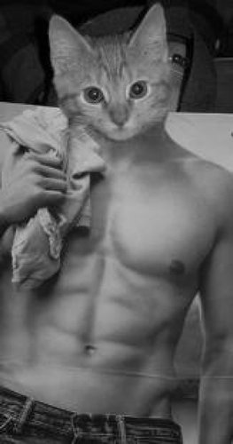 �ޥå���ʻ��ޤ�ǭ07