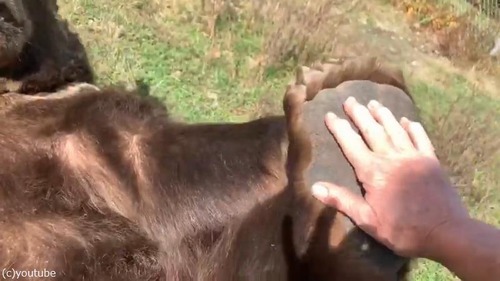 ���������˼��ä�����04