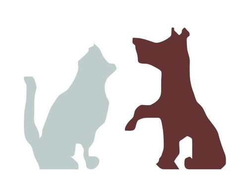 野良犬と野良猫が…嫉妬するほど仲良し