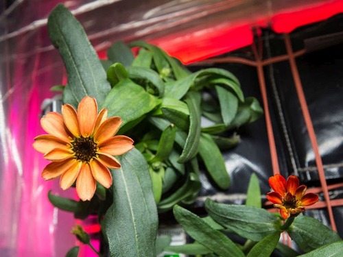 ���Ʊ���ǰ�Ƥ�줿��01