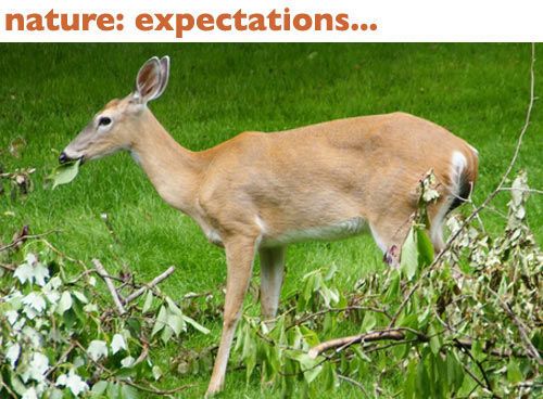 �����ȥɥ������ۤȸ���07