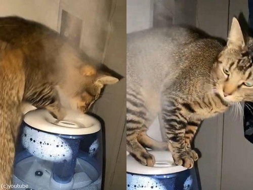 ǭ���ü���Υߥ��Ȥ˸�������02