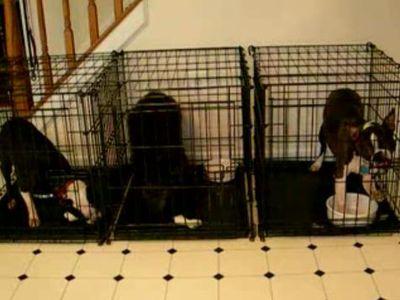 �����Τ�Τϲ��Τ��