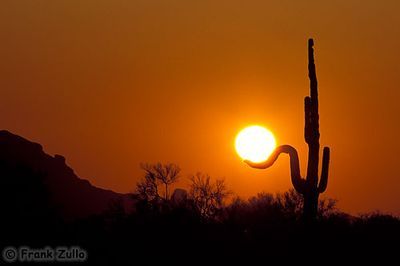 その手に太陽をつかんだ人々12