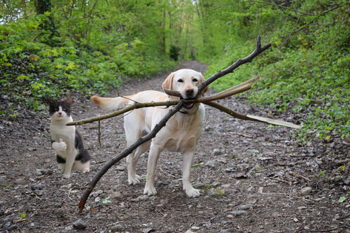 ɬ������Ȥ������ʸ�07