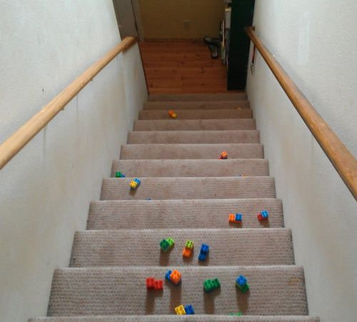 11�������顢������ʿ͡�