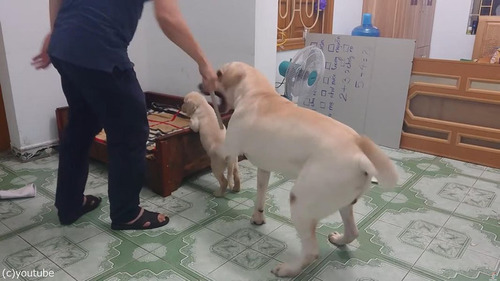 �Ҹ��򤷤������Ȥ����顢�Ƹ������02