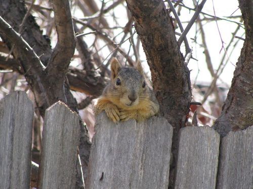 ��������Ф줿�ꥹ00