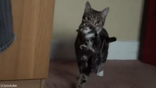 ޥǭ»ҤλǭϢ쵢Ȥ07