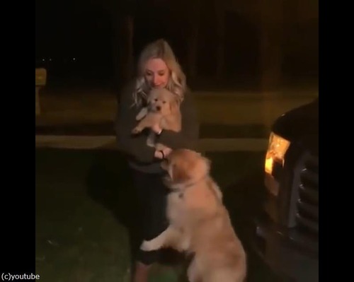 �������󥳤��紿�ޤ��르����ǥ��ȥ�С�01