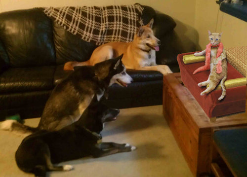 彼氏の妹が猫を連れてきた02