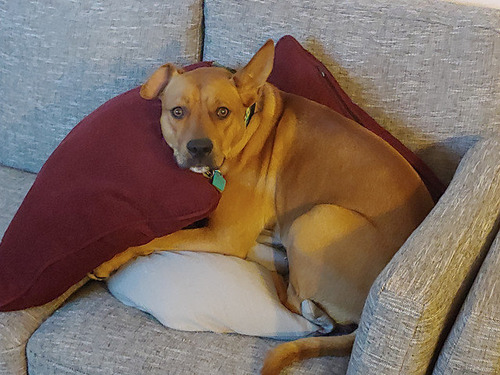 ����ͷ������02