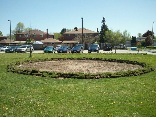 学校の花壇でやってみた05