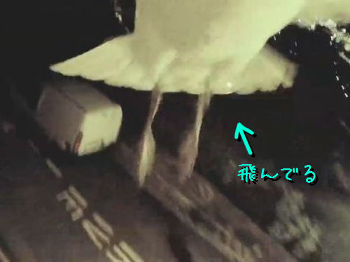 ���������������