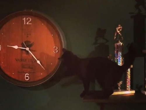 時計が進んでしまう理由02