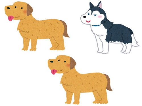 大型犬5匹と寝る
