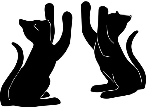 猫2匹が仲良くしてたと思ったら