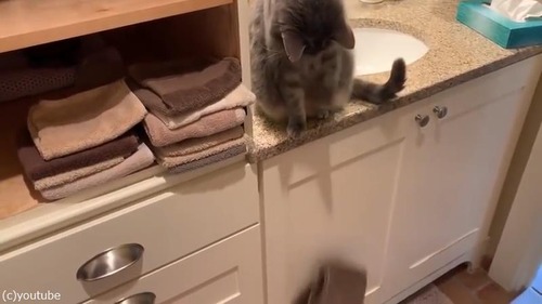 ޤäǭäƤĤϡĥ٥ɤ襤03