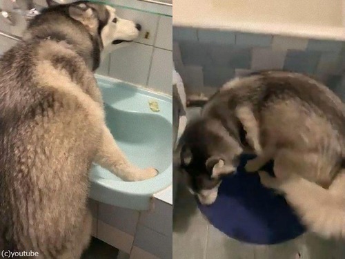 ��ʬ��ޤ��Ҹ����ȻפäƤ��븤01