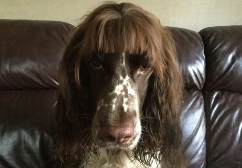 ���å���������θ��Υإ����å�03