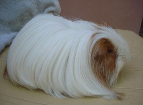 �Ӥ�Ĺ������å�05