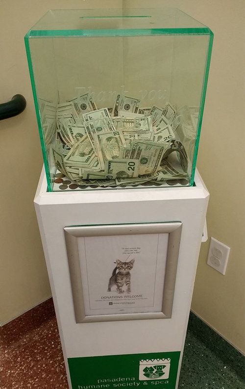 動物保護施設の募金箱にびっくり01