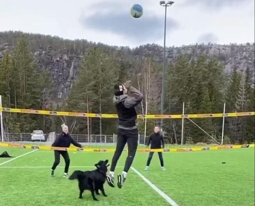 �Х졼�ܡ���Υȥ���ŷ�͸�03