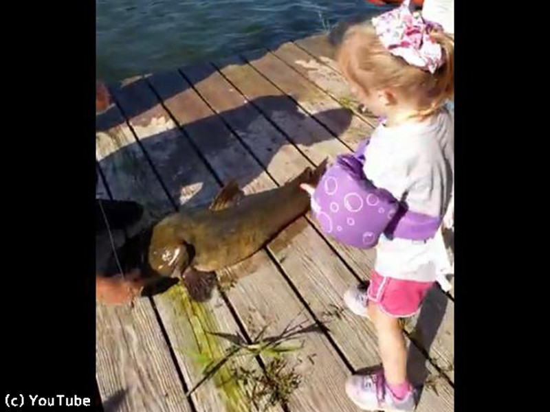 4歳の少女が おもちゃの釣り竿で超大物を釣り上げる 動画 らばq